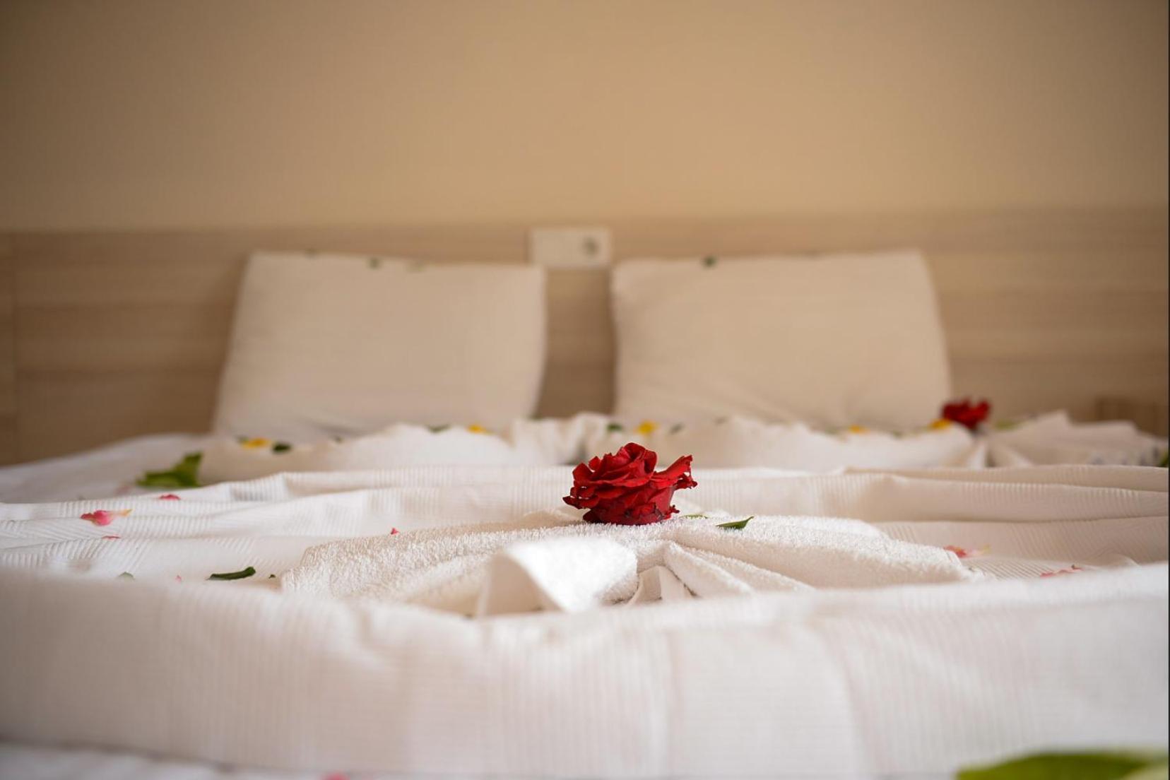 Ant Butik Otel Αλάνια Εξωτερικό φωτογραφία